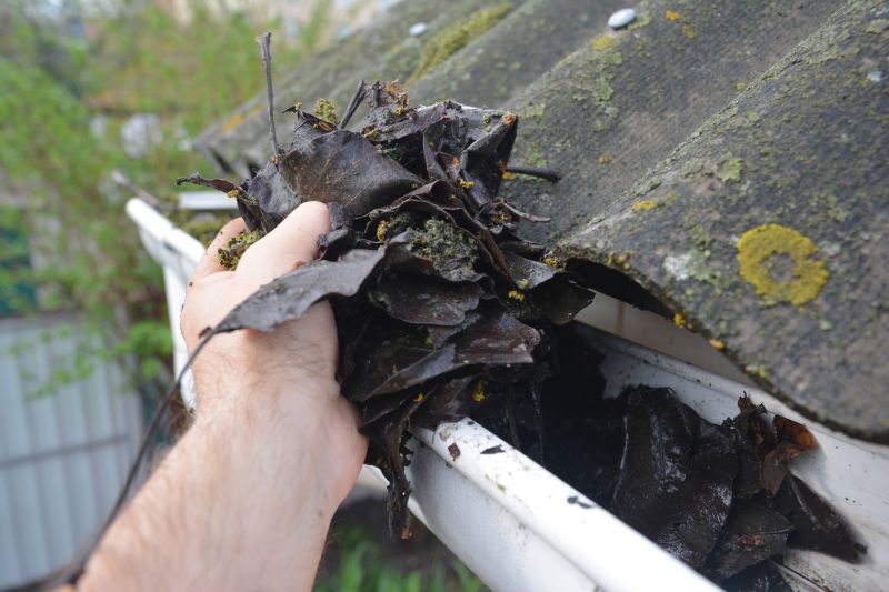 Gutter Debris Removal