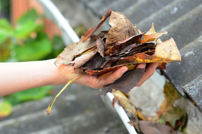 Gutter Leaf Clearing