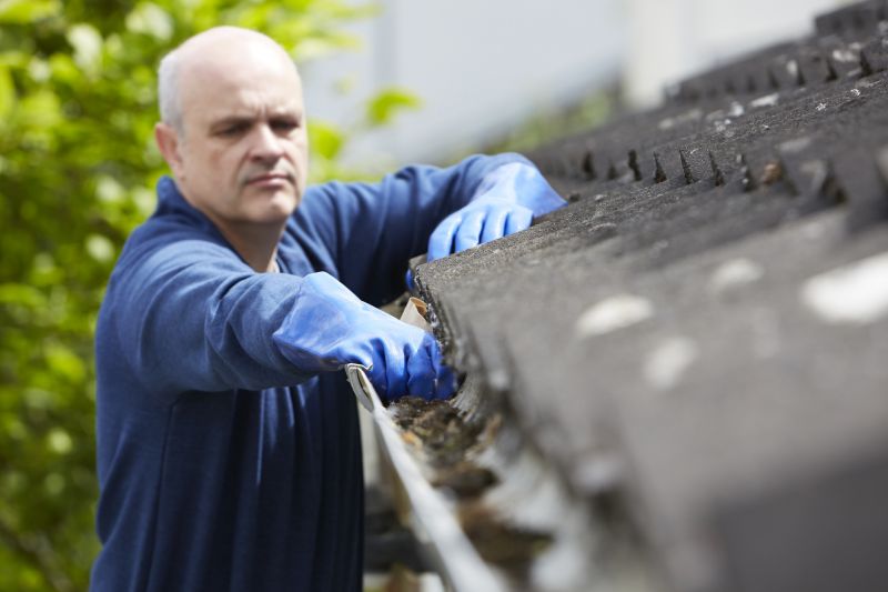 Pine Needle Gutter Cleaning