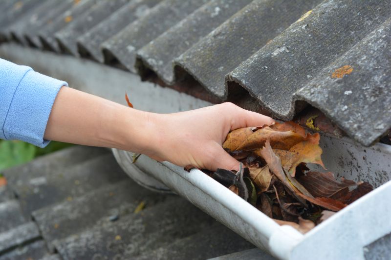Rain Gutter Maintenance