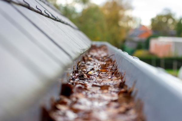 Commercial Gutter Cleaning in Glendale
