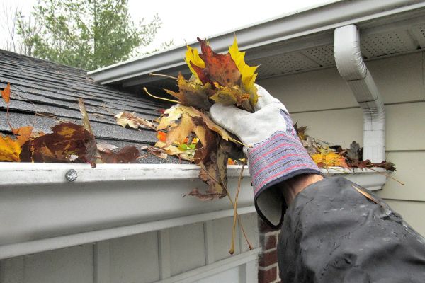 Blocked Gutter Cleaning in Glendale