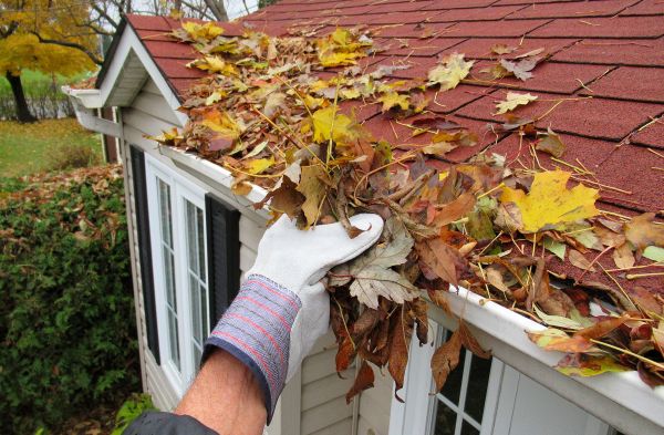 Rain Gutter Cleaning Service in Glendale