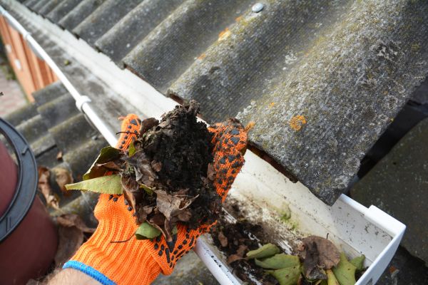 Seamless Gutter Cleaning in Glendale