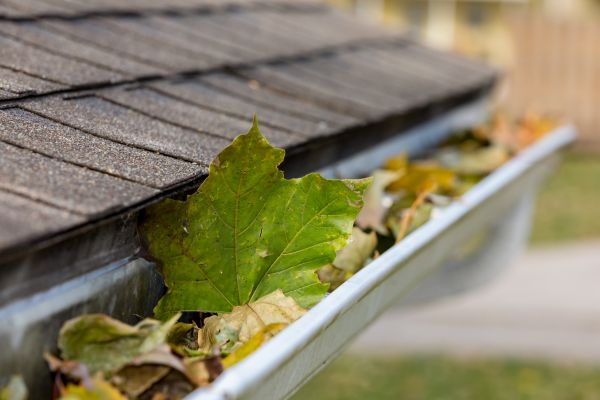 Gutter System Cleaning in Glendale