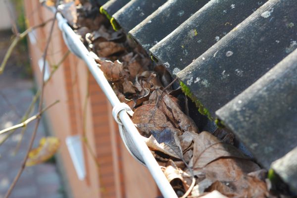 Home Gutter Cleaning in Glendale