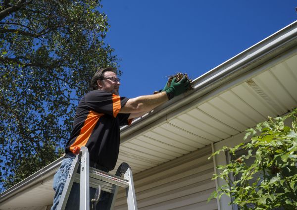 Building Gutter Cleaning in Glendale