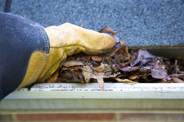 Jammed Gutter Cleaning in Glendale