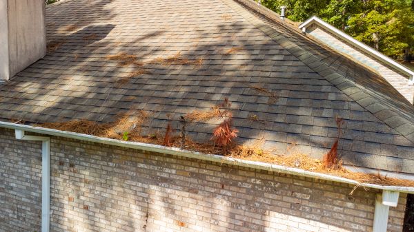 Gutter Pine Needle Removal in Glendale